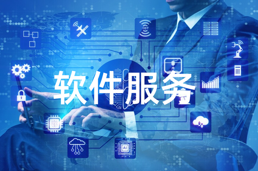 软件服务